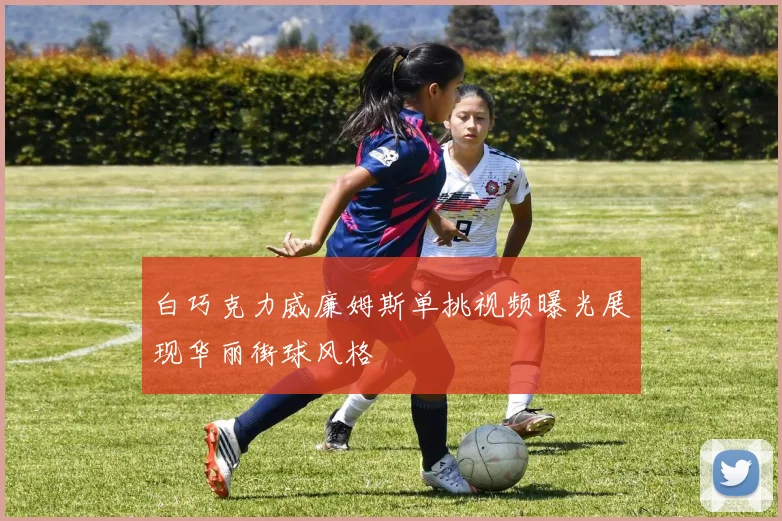 白巧克力威廉姆斯单挑视频曝光展现华丽街球风格