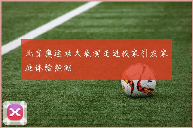 北京奥运功夫表演走进我家引发家庭体验热潮