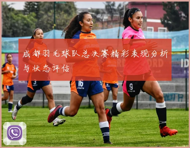 成都羽毛球队总决赛精彩表现分析与状态评估